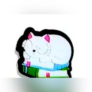 Sleeping Cat on Books shoe charm NWOT